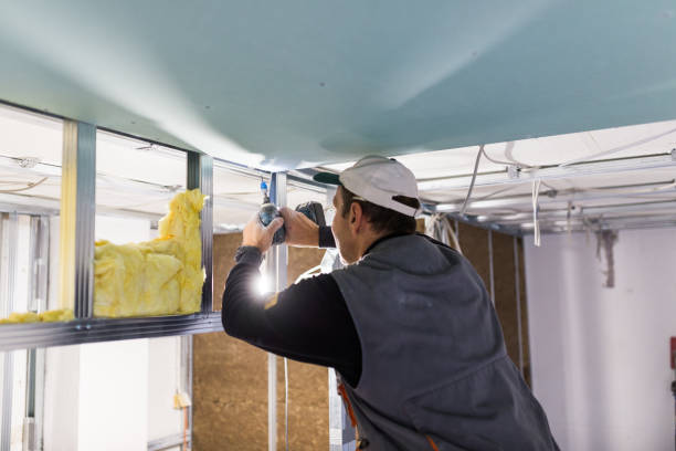 Best Insulation Maintenance and Repair in Nescopeck, PA