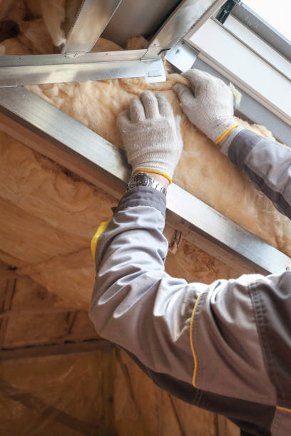 Best Eco-Friendly Insulation in Nescopeck, PA