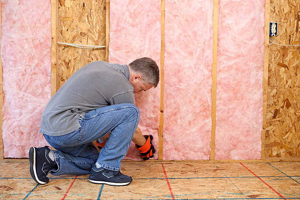 Best Specialized Insulation Services in Nescopeck, PA