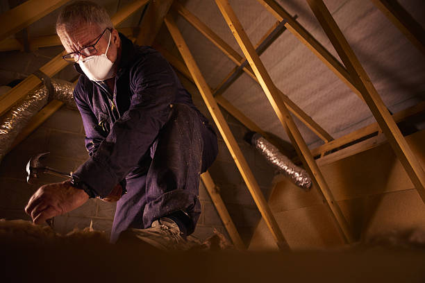Trusted Nescopeck, PA Insulation Contractor Experts